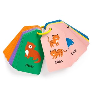 WellCards custom flash cards OEM manufacturer